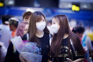 黑喵cp最新爆料是谁,神秘幕后黑手揭晓！”